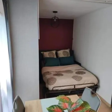 Et Calme En Bord De Loire. Appartement Nantes