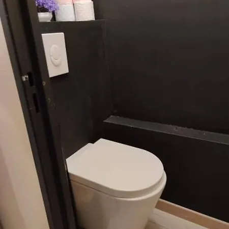 Et Calme En Bord De Loire. Nantes